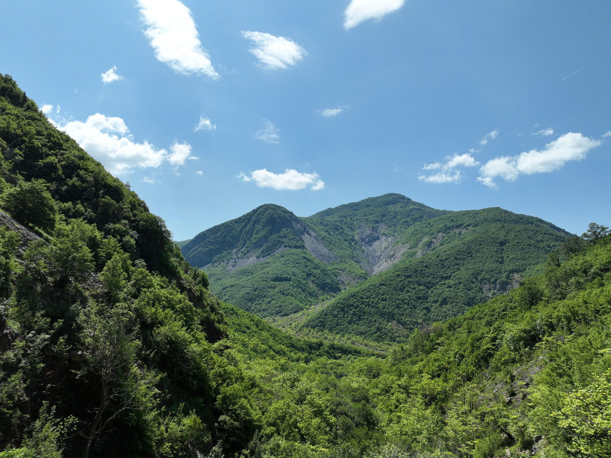 A forested gorge deep in the Shebenik-Jabllanicë massif