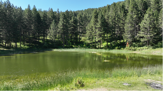 Grykë-Çajë to Radomirë