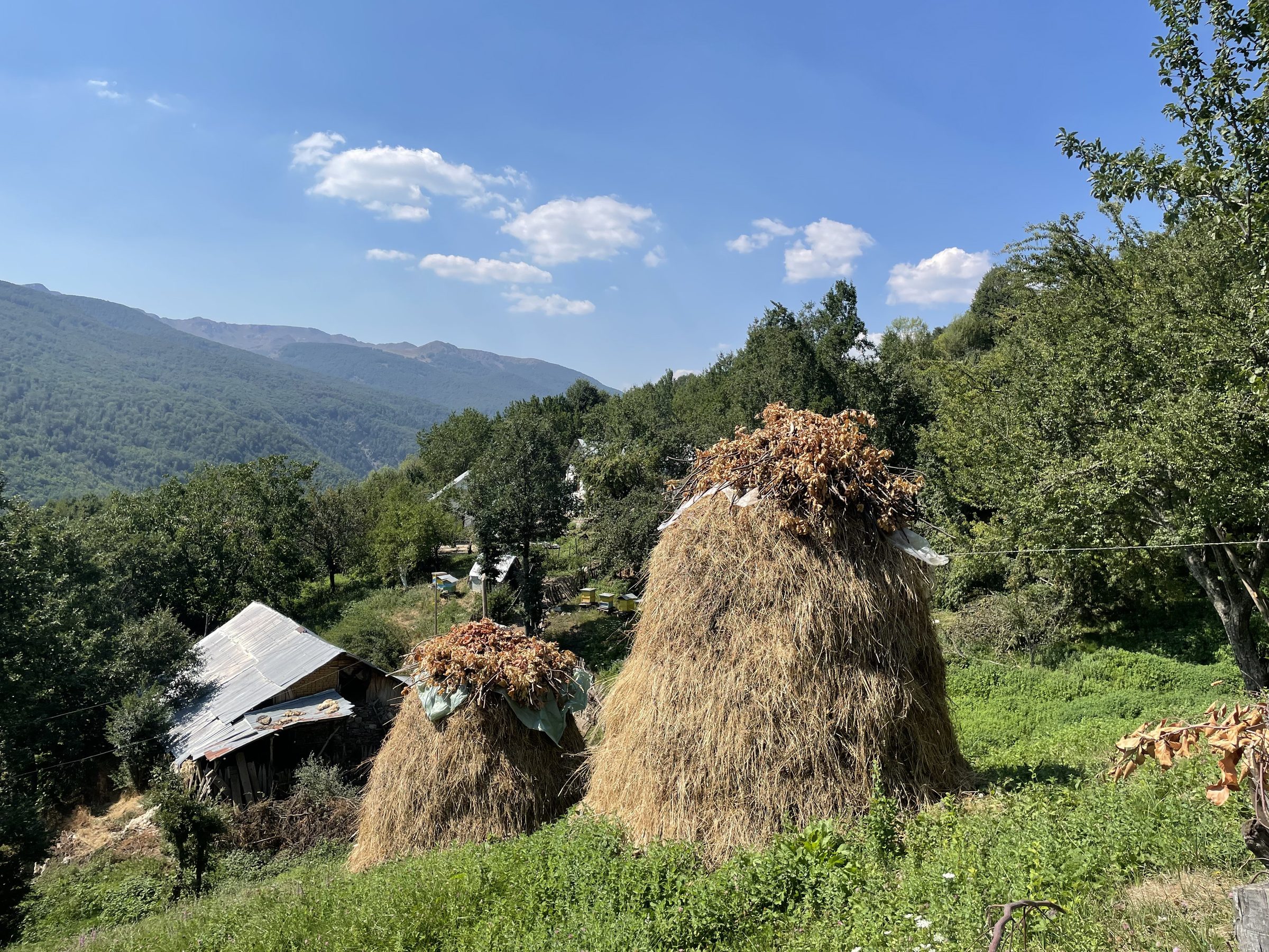 Haystacks and a shepherd's hut in the hamlet of Skënderbej, mountains behind