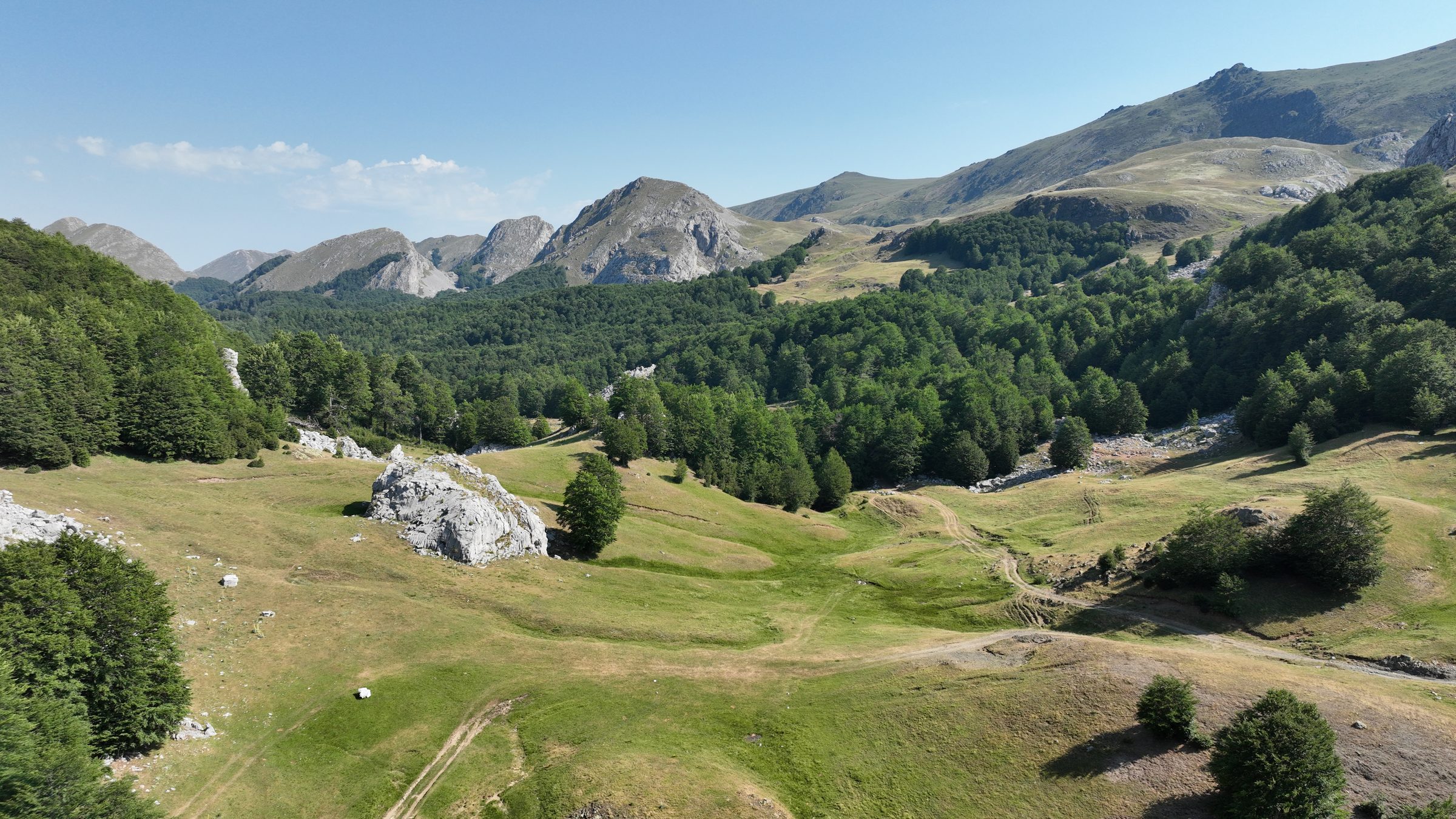 Forested highland pasture near Stëblevë, with rocky peaks behind