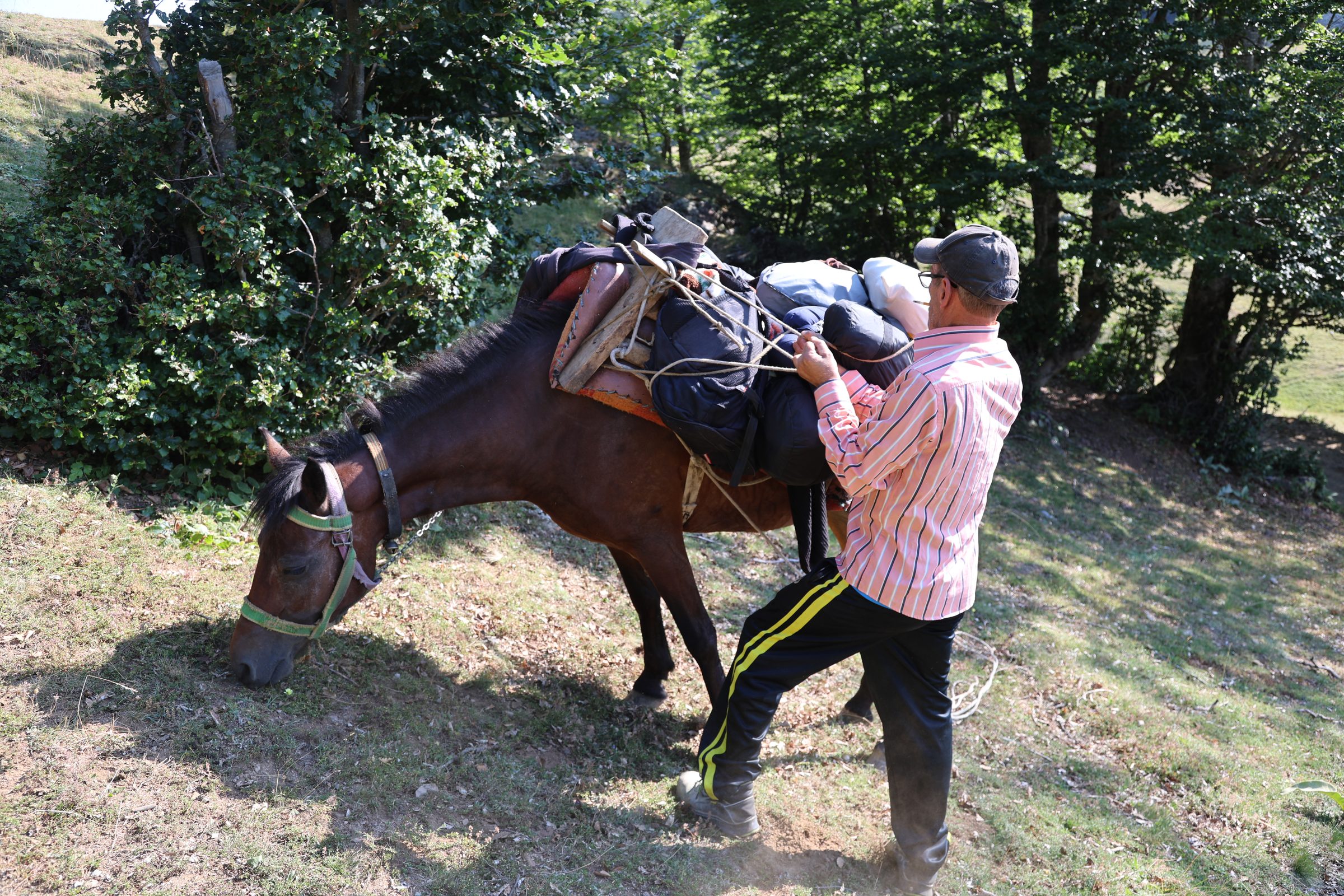 A guide loading camping gear onto a pack horse in the forest